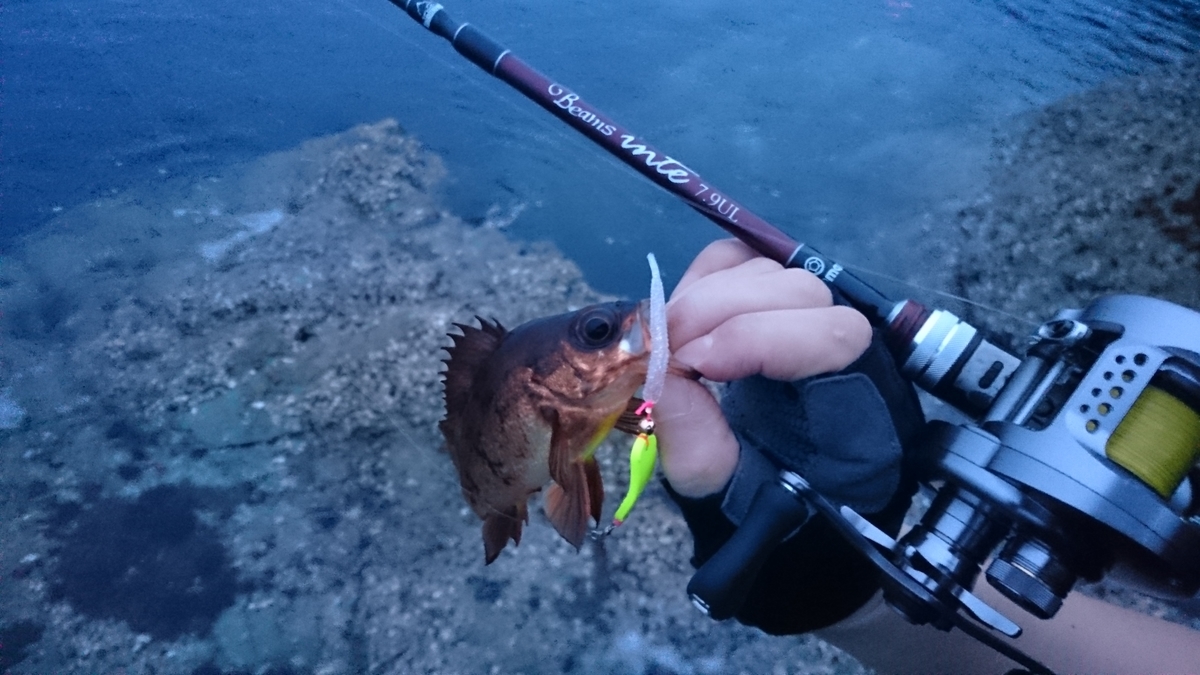 f:id:berao-setouchi-fishing:20200802161438j:plain