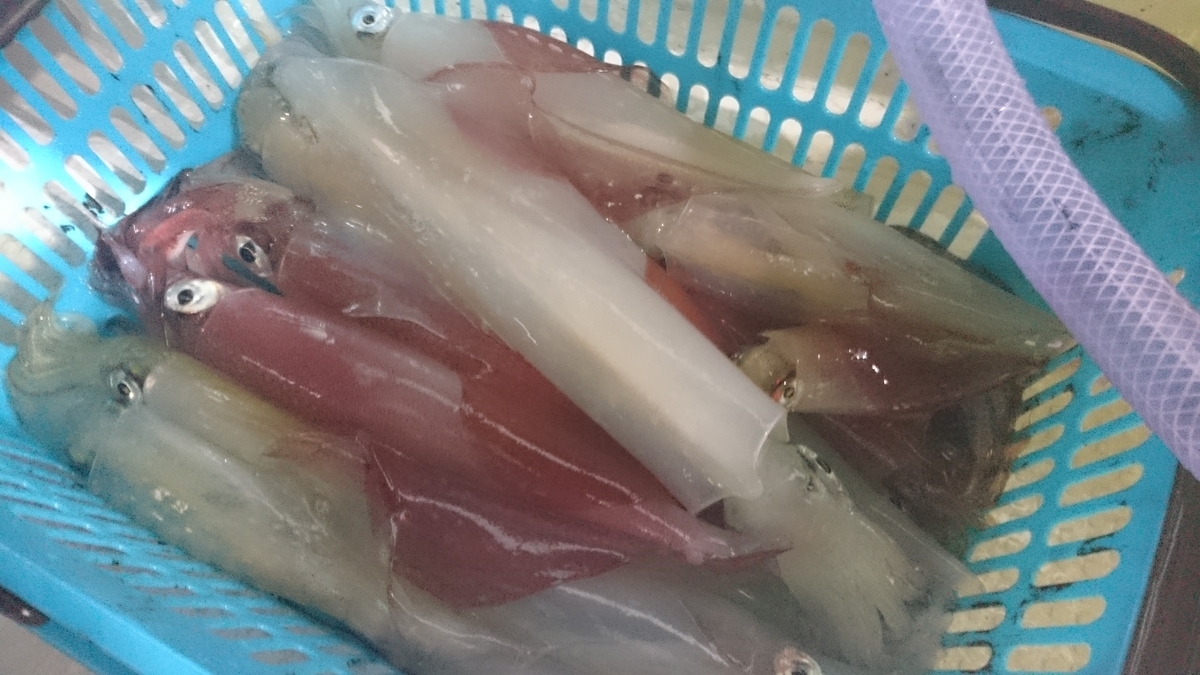 f:id:berao-setouchi-fishing:20200824013408j:plain