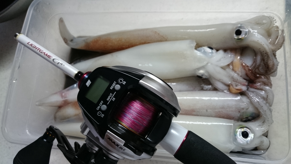 f:id:berao-setouchi-fishing:20200824013430j:plain