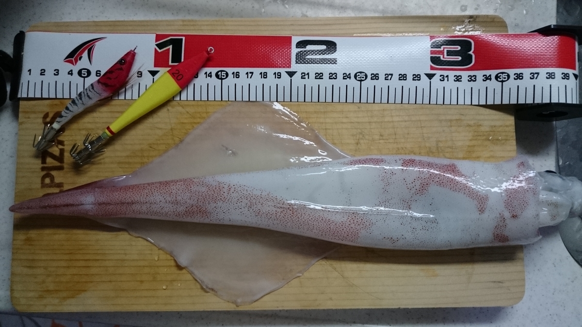 f:id:berao-setouchi-fishing:20200824013505j:plain