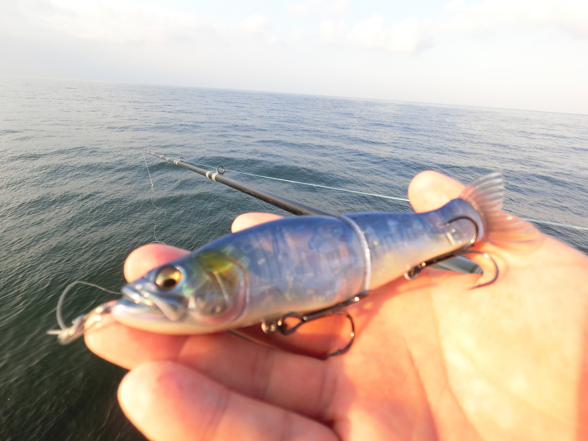 f:id:berao-setouchi-fishing:20201108124855j:plain