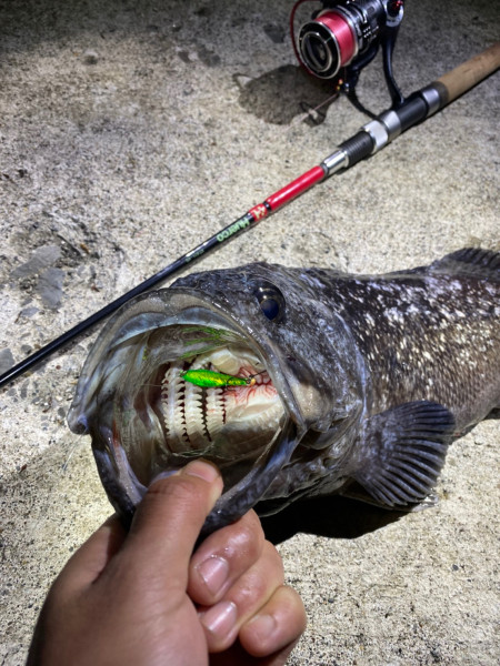 f:id:berao-setouchi-fishing:20201208212422j:plain