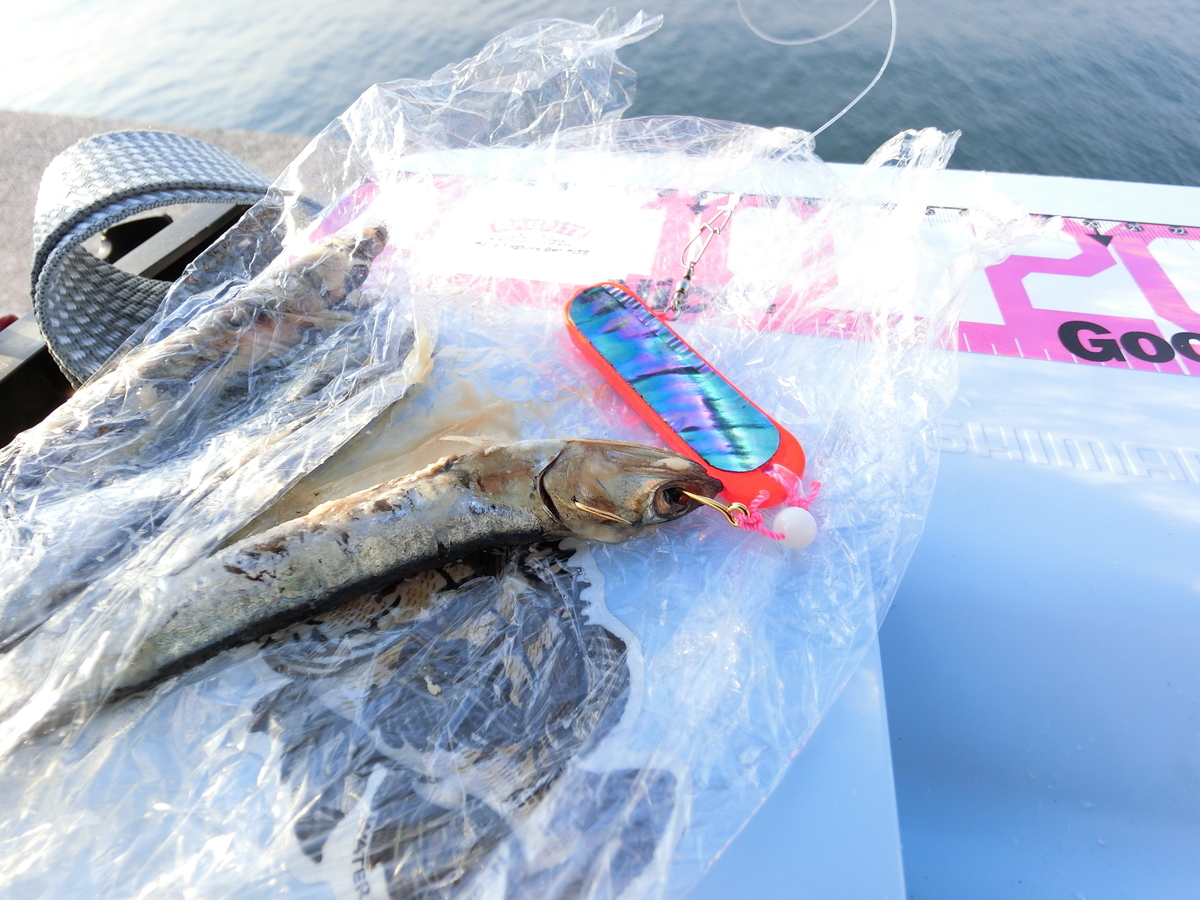 f:id:berao-setouchi-fishing:20201227133606j:plain