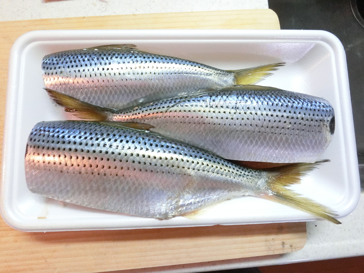 f:id:berao-setouchi-fishing:20201231115034j:plain