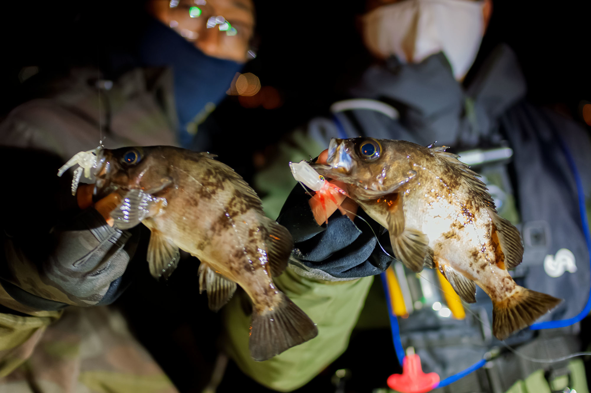 f:id:berao-setouchi-fishing:20210125193400j:plain