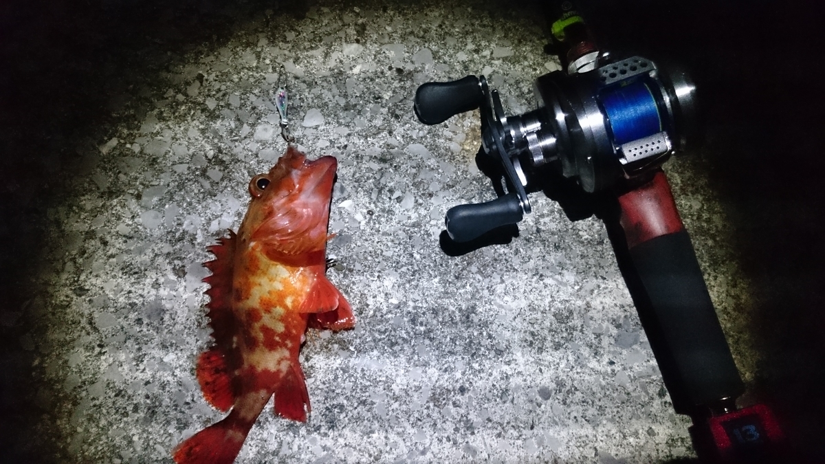 f:id:berao-setouchi-fishing:20210207165638j:plain