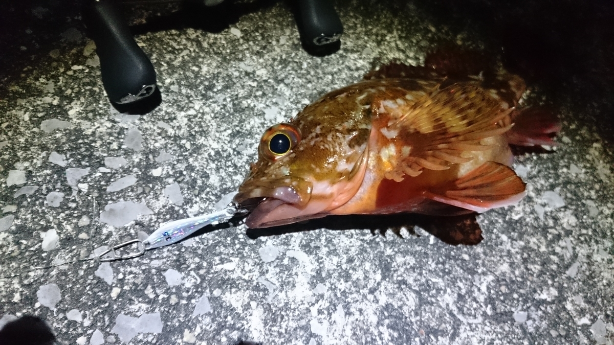 f:id:berao-setouchi-fishing:20210207165714j:plain