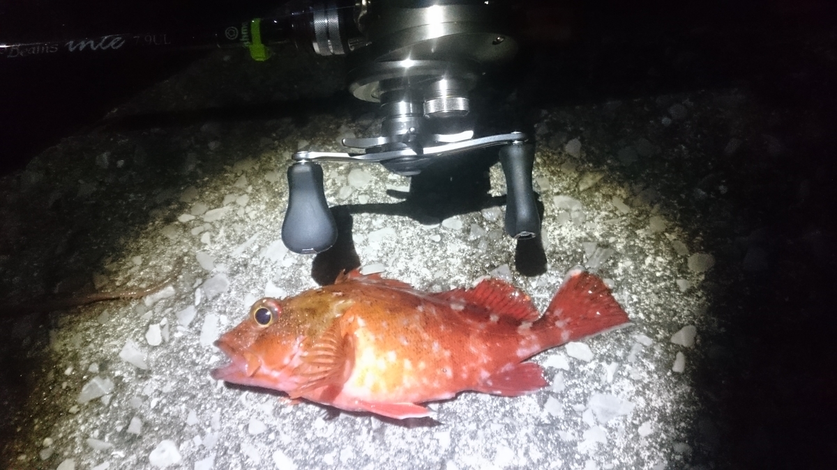 f:id:berao-setouchi-fishing:20210207165846j:plain