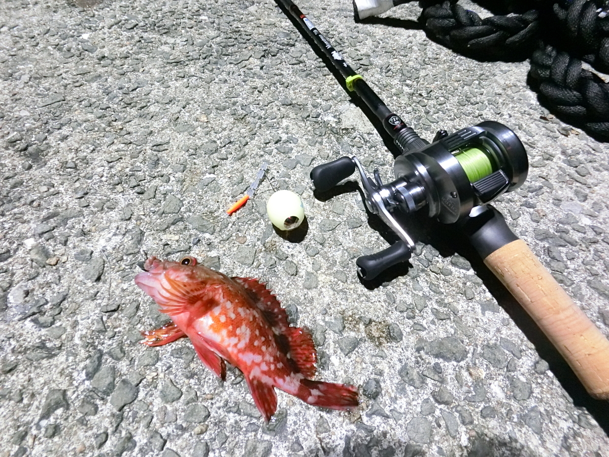 f:id:berao-setouchi-fishing:20210223105303j:plain