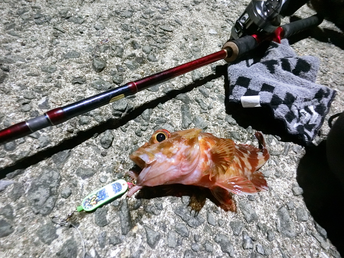 f:id:berao-setouchi-fishing:20210509112819j:plain