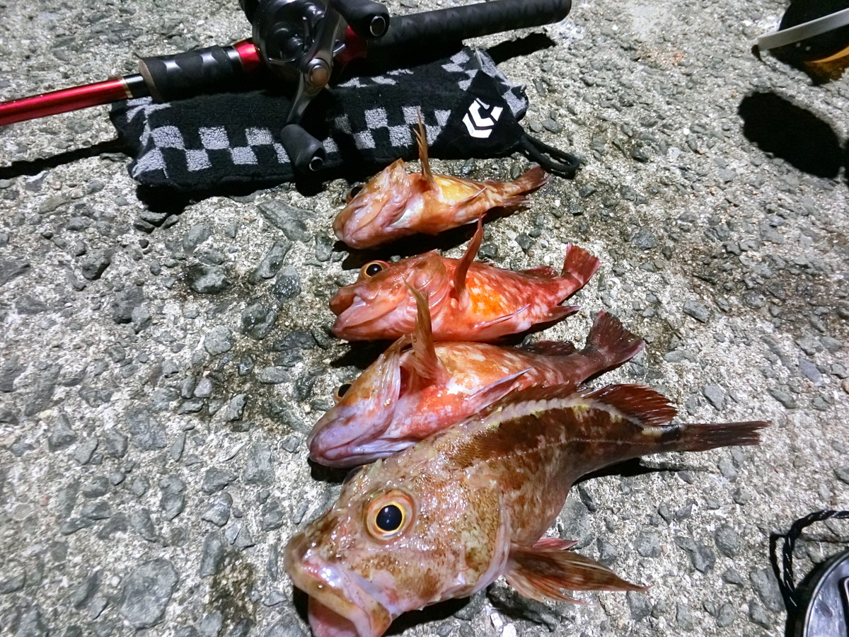 f:id:berao-setouchi-fishing:20210509112841j:plain