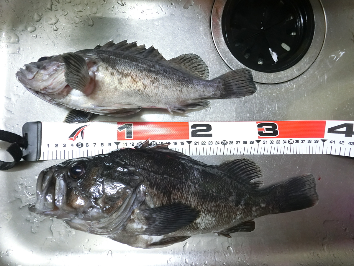 f:id:berao-setouchi-fishing:20210530103709j:plain