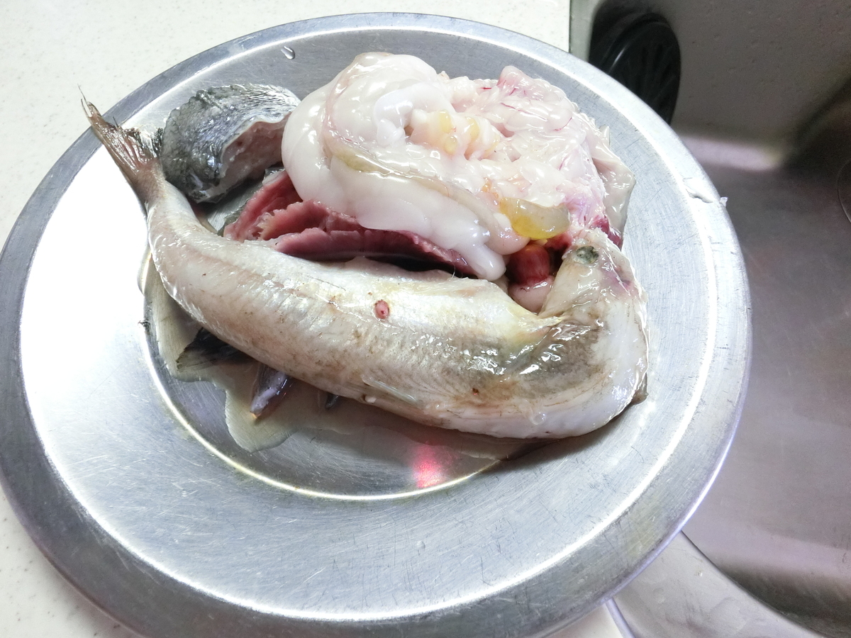 f:id:berao-setouchi-fishing:20210703150154j:plain