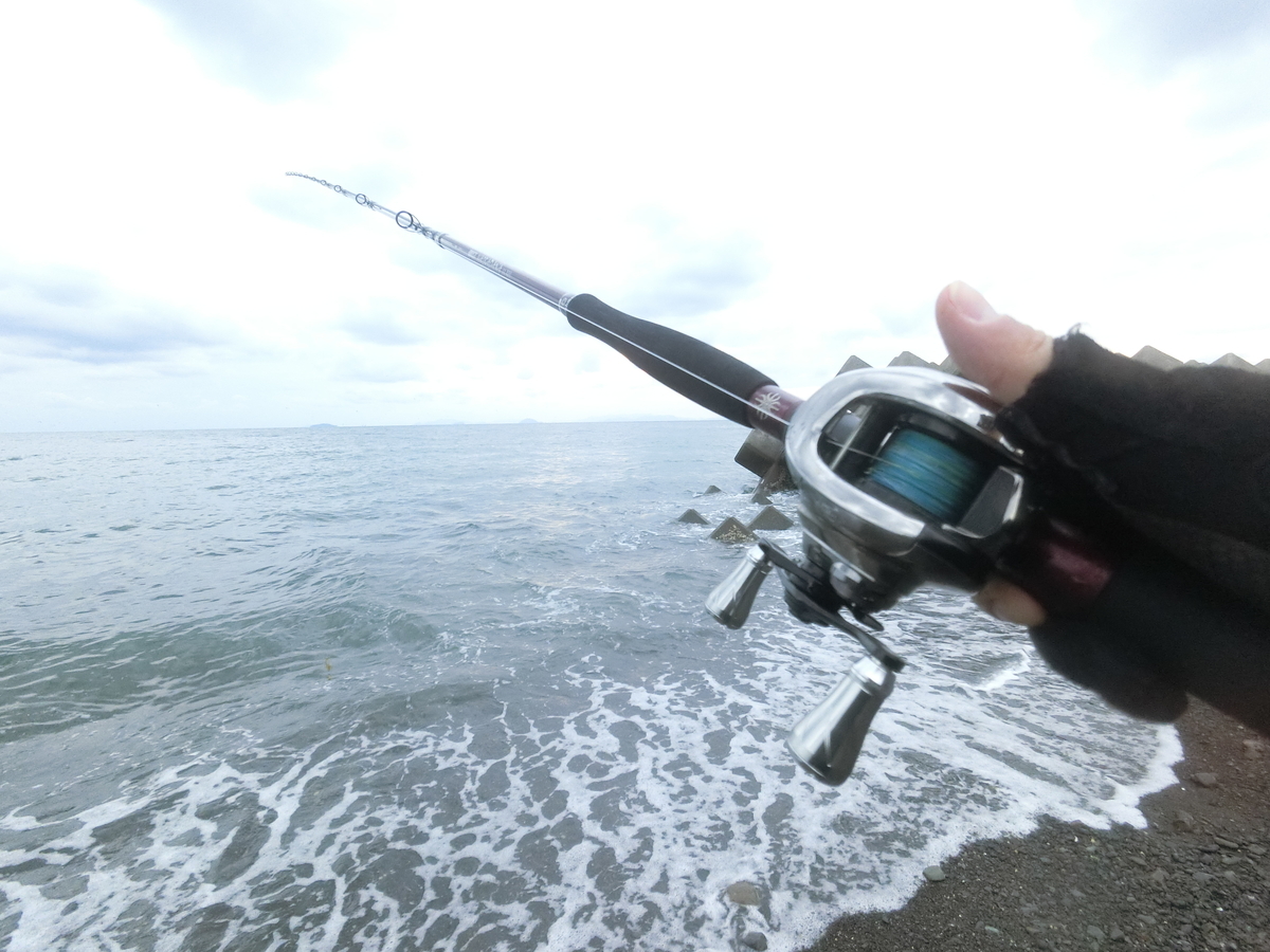 f:id:berao-setouchi-fishing:20211114144457j:plain