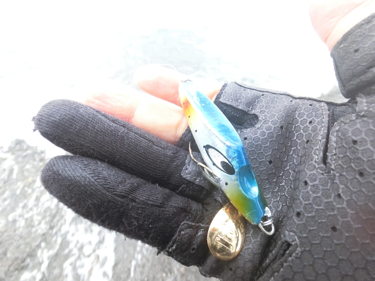 f:id:berao-setouchi-fishing:20211114144730j:plain