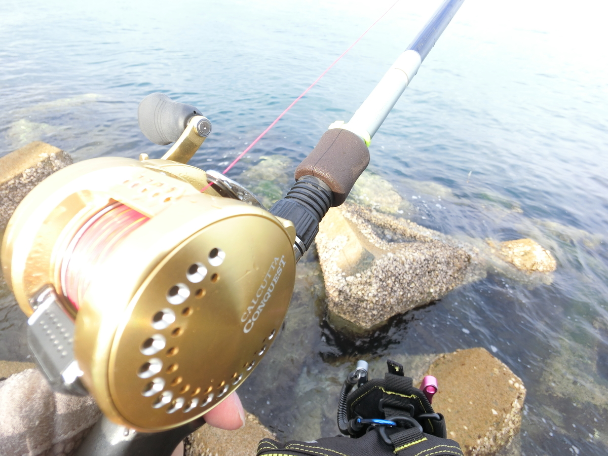 f:id:berao-setouchi-fishing:20220116200432j:plain