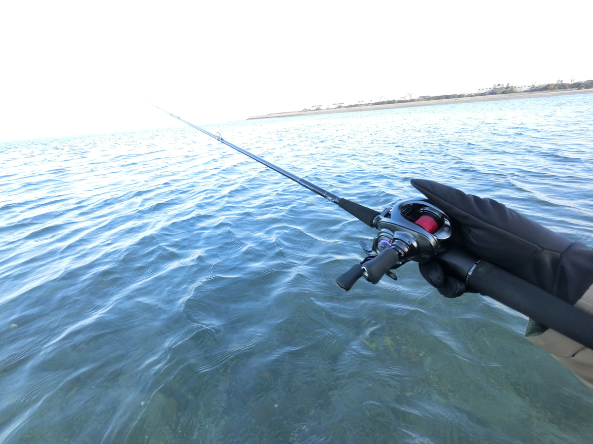 f:id:berao-setouchi-fishing:20220122203334j:plain