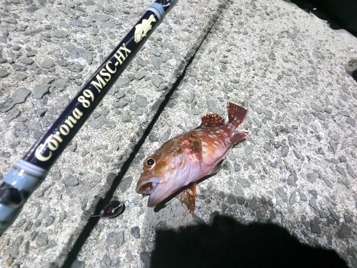 f:id:berao-setouchi-fishing:20220403152306j:plain