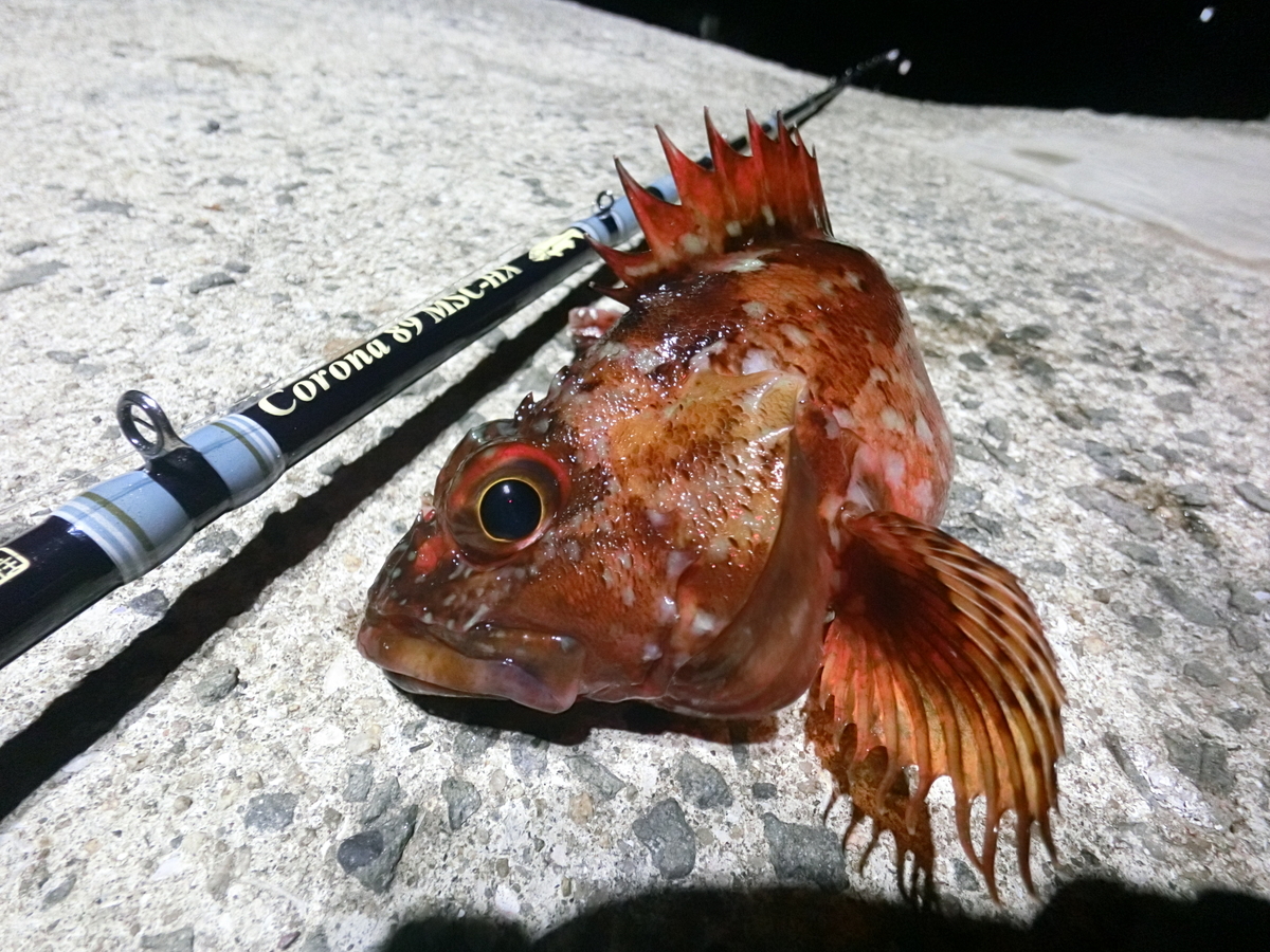 f:id:berao-setouchi-fishing:20220403152347j:plain