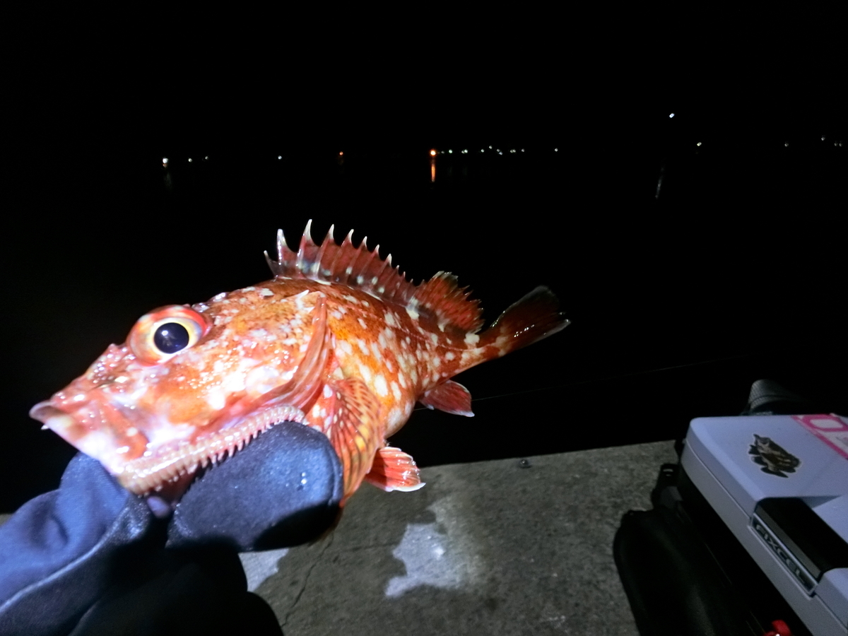 f:id:berao-setouchi-fishing:20220403152454j:plain