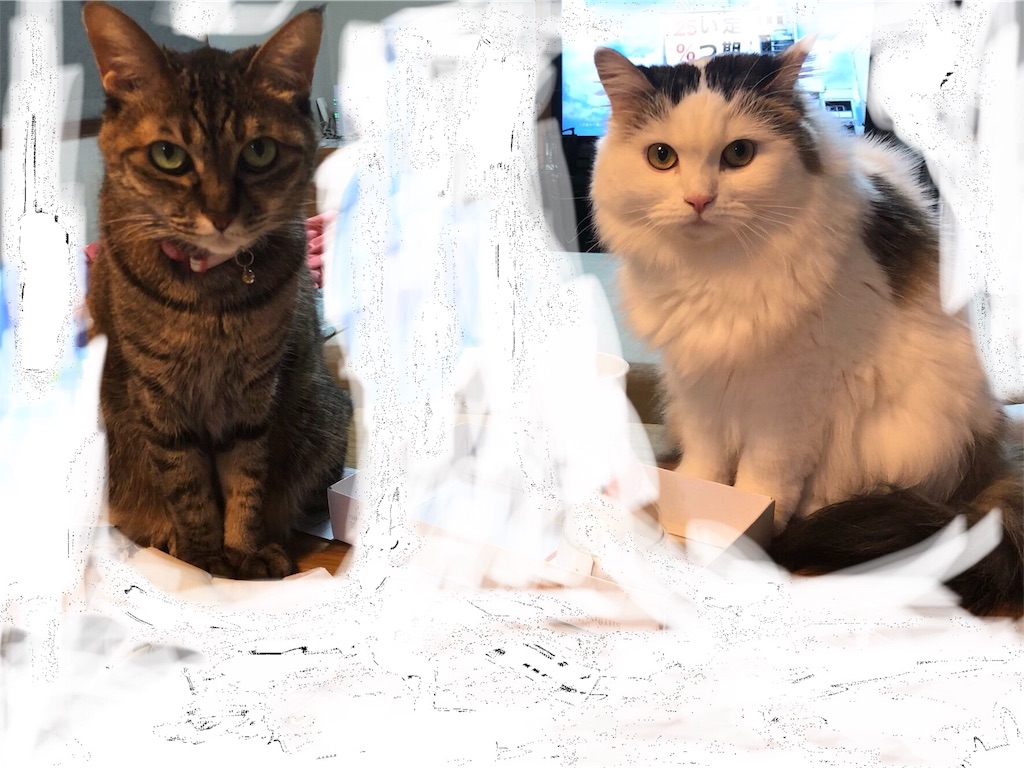 f:id:beree:20190424173433j:image