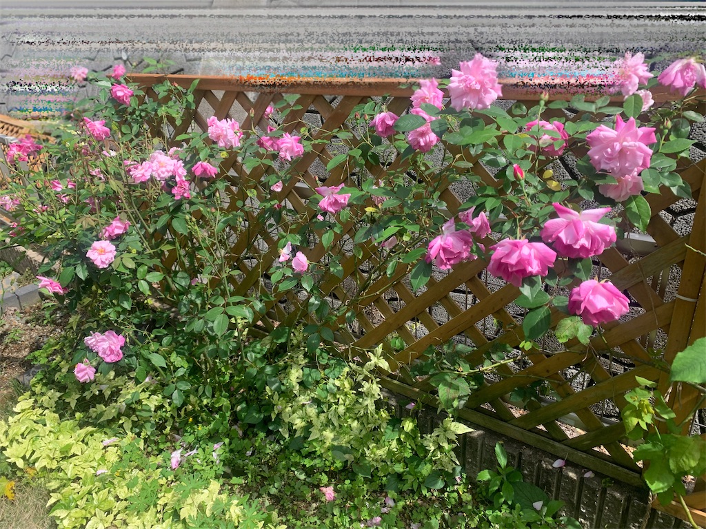 f:id:bergamot18xx:20240416171826j:image
