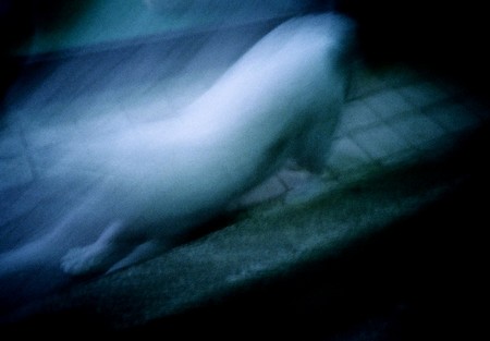 f:id:bergk:20061229230700j:image