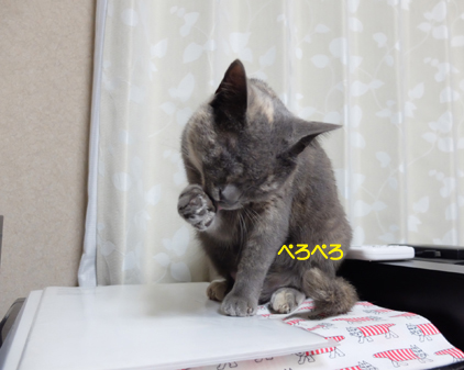 f:id:beriru:20160708225458j:plain