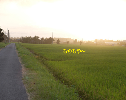f:id:beriru:20160807195812j:plain