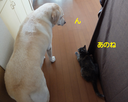 f:id:beriru:20160820210249j:plain