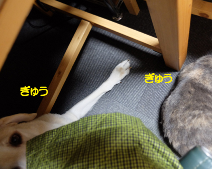 f:id:beriru:20161111132547j:plain