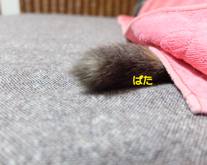 f:id:beriru:20161217160521j:plain