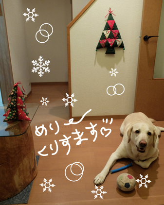 f:id:beriru:20161225201527j:plain
