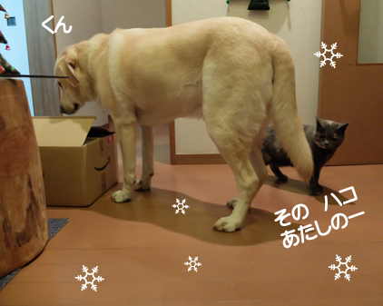 f:id:beriru:20161225201528j:plain