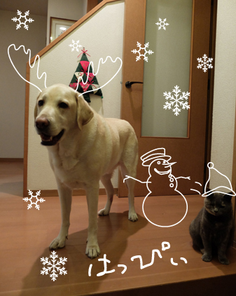 f:id:beriru:20161225201529j:plain