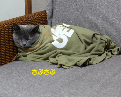 f:id:beriru:20170120233517j:plain