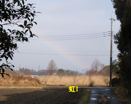 f:id:beriru:20170120233522j:plain