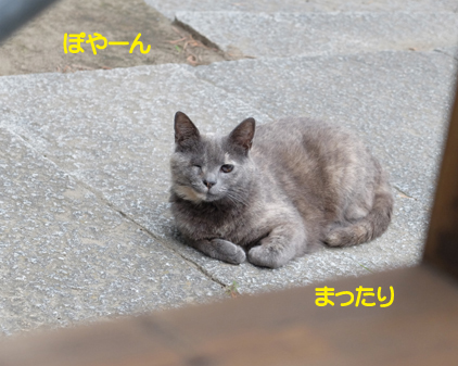 f:id:beriru:20170610003558j:plain