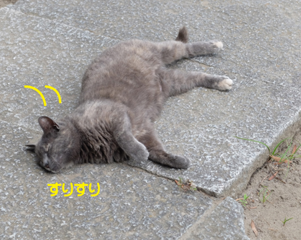 f:id:beriru:20170610003609j:plain
