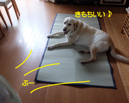 f:id:beriru:20170621132300j:plain