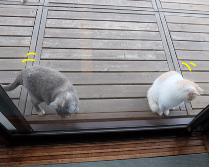 f:id:beriru:20180609192552j:plain