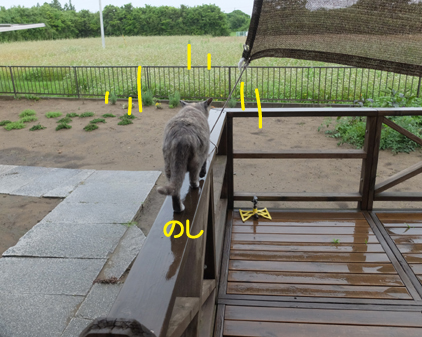 f:id:beriru:20180621090856j:plain