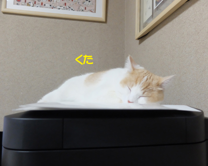 f:id:beriru:20180621090908j:plain