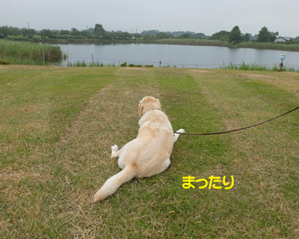 f:id:beriru:20180802083528j:plain