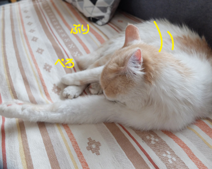 f:id:beriru:20180806085252j:plain