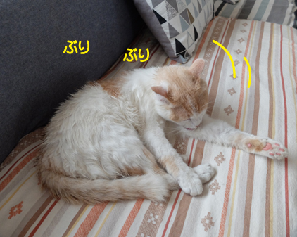 f:id:beriru:20180806085256j:plain