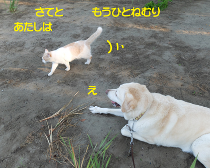 f:id:beriru:20180811165458j:plain