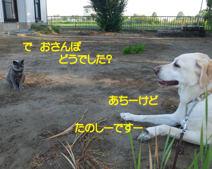 f:id:beriru:20180811165711j:plain