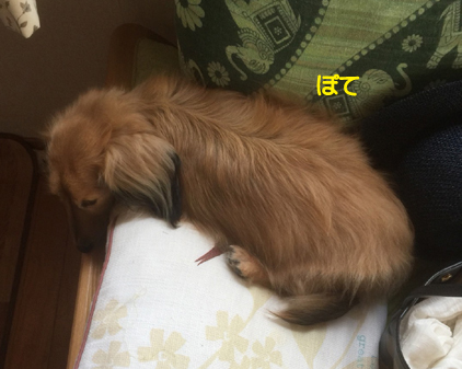 f:id:beriru:20180822095855j:plain