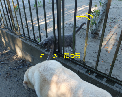 f:id:beriru:20180823121933j:plain